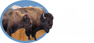 CSKT Bison Range Logo